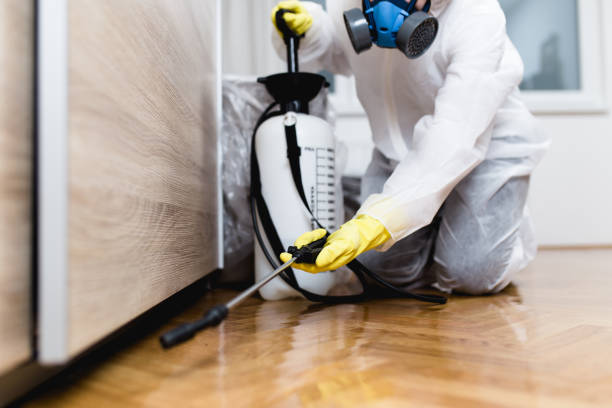 Best Pest Removal Services  in Byram Center, NJ