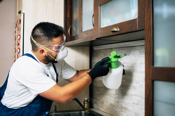 Best Cockroach Control Services  in Byram Center, NJ