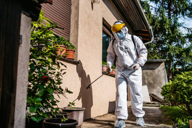 Bird Control in Byram Center, NJ