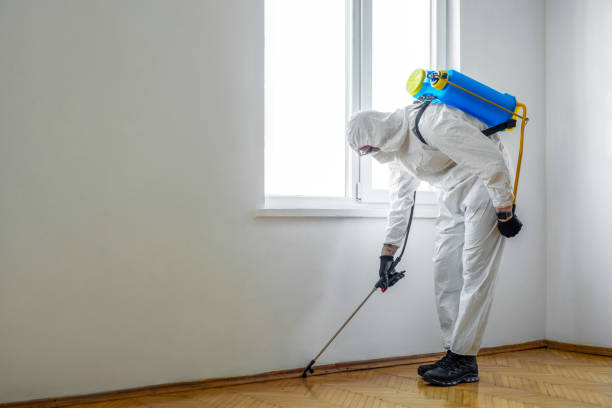 Best Residential Pest Control  in Byram Center, NJ