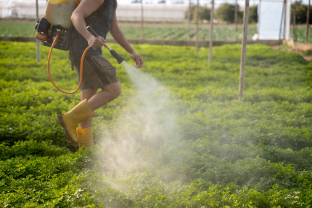 Best Commercial Pest Control Services  in Byram Center, NJ