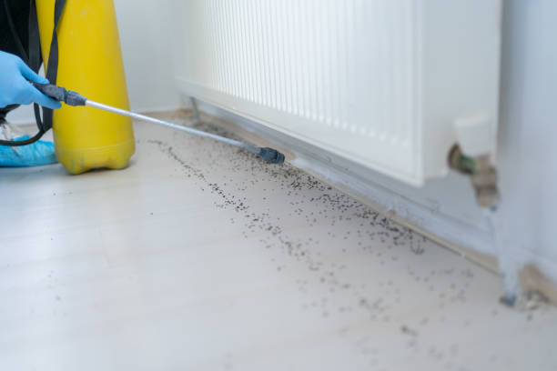 Best Wasp Removal Services  in Byram Center, NJ