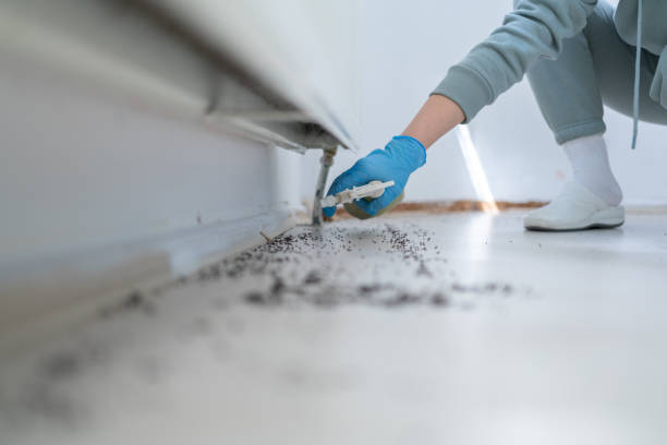 Best Exterminator Services  in Byram Center, NJ